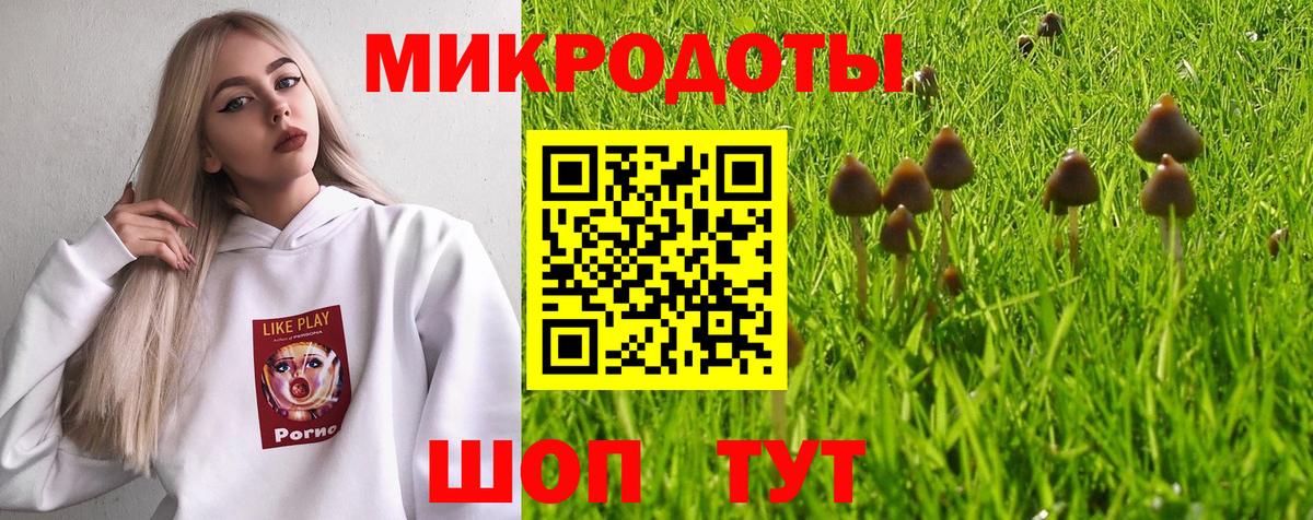 Избербаш  Псилоцибиновые грибы Psilocybine cubensis  Галлюциногенные грибы MAGIC MUSHROOMS  Вход с VPN 